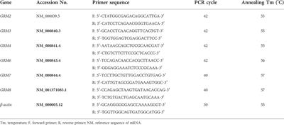 Expression of group II and III mGluRs in the carotid body and its role in the carotid chemoreceptor response to acute hypoxia